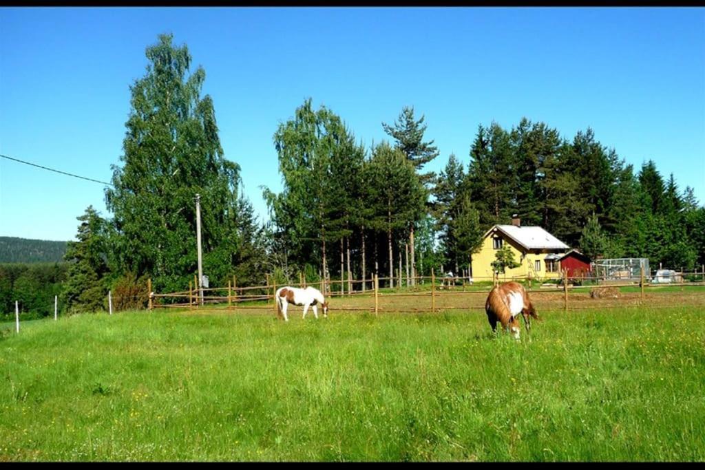 Little Forest House "Our Little Farm" Eksharad Luaran gambar