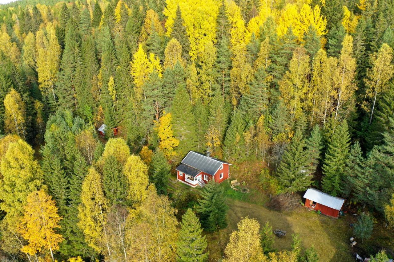 Little Forest House "Our Little Farm" Eksharad Luaran gambar
